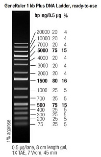 Маркеры мол. массы ДНК, 75-20000 п.о., GeneRuler 1 kb Plus DNA, гот. к исп. (15 фр.), 50 мкг