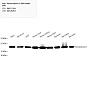 Антитела первичные, поликлональные, Peroxiredoxin 2/PRP, 100 мкл