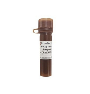 Реагент для удаления микоплазмоза, 1000x, 1 мл