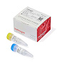 Набор трансфекционных реагентов: Lipofectamine LTX (0.1 мл), реагент PLUS (40 мкл), 1 шт
