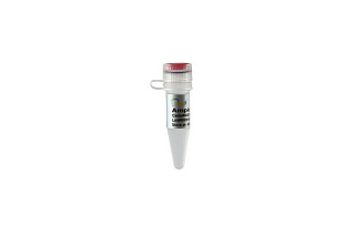 Ампициллин Ampicillin, 1 мл