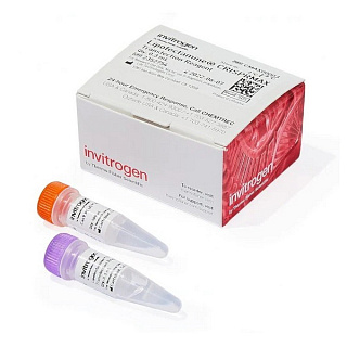 Набор трансфекционных реагентов: Lipofectamine CRISPRMAX, Cas9, 0.3 мл